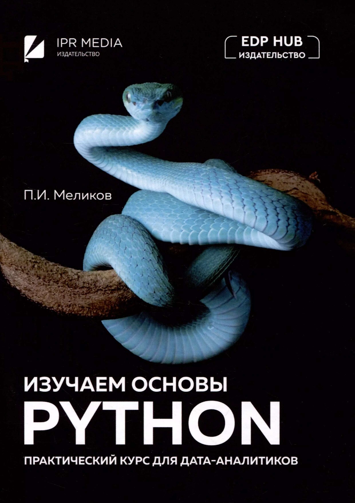 codelibs.ru_izuchaem-osnovy-python-prakticheskij-kurs-dlya-data-analitikov