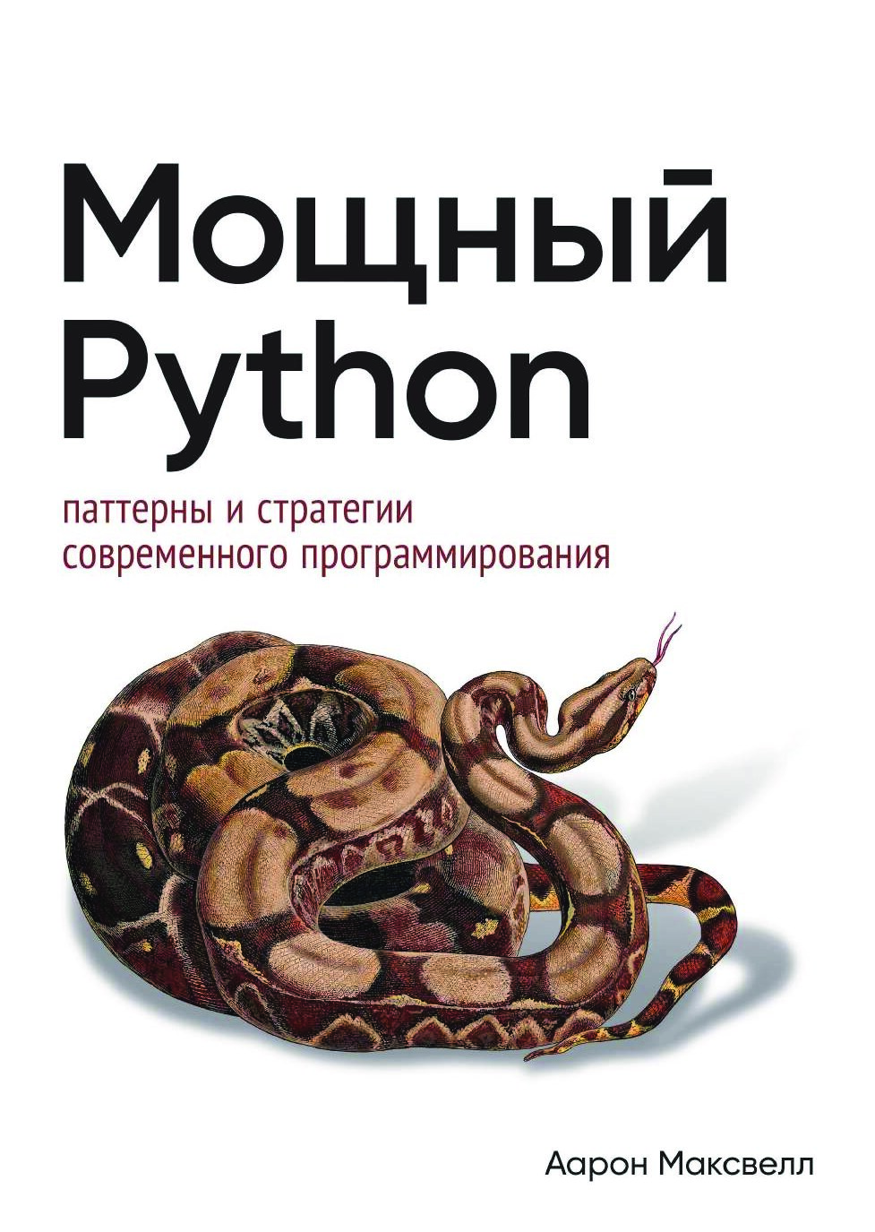 codelibs.ru_moshnyj-python-patterny-i-strategii-sovremennogo-programmirovaniya