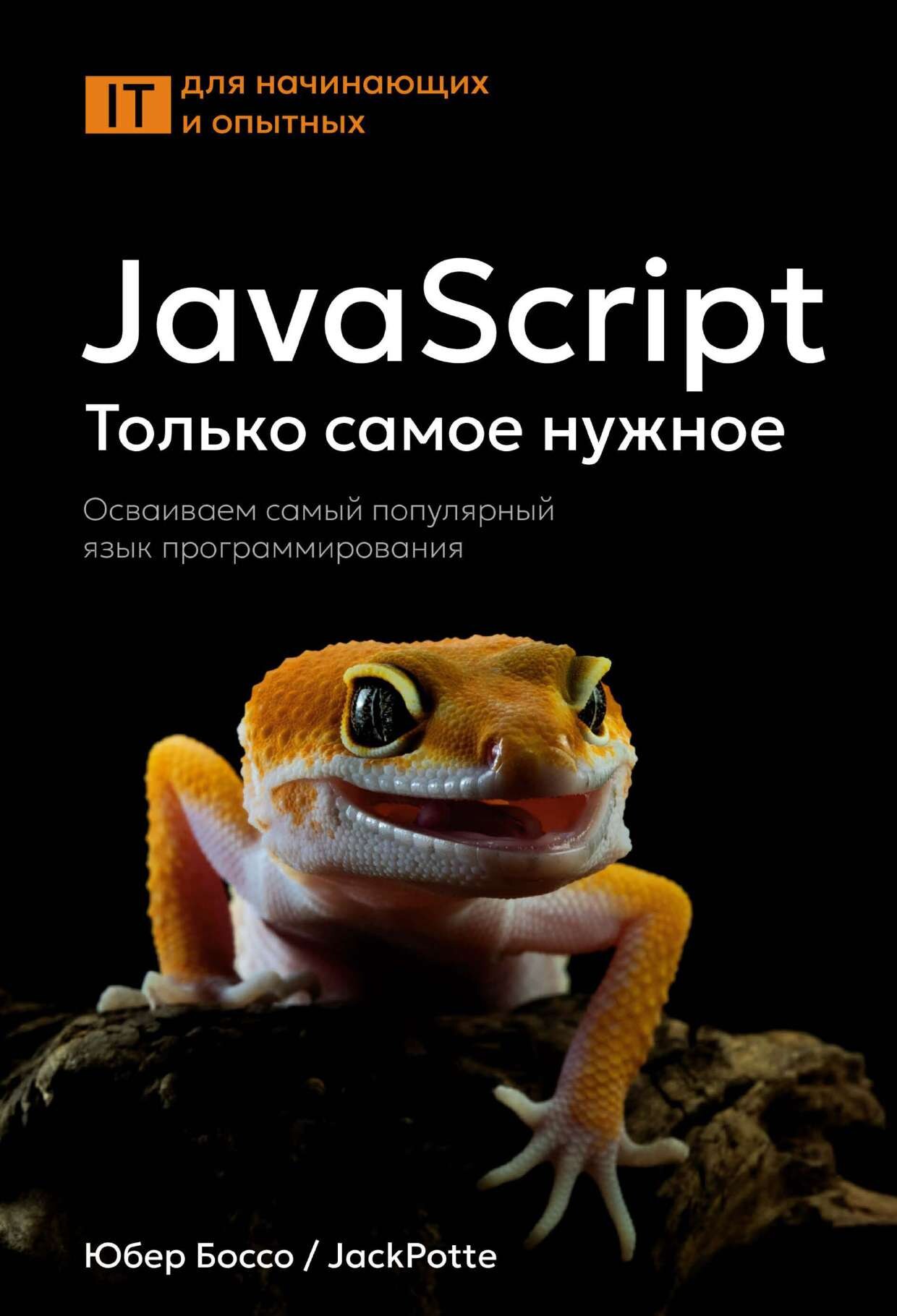 codelibs.ru_javascript-tolko-samoe-nuzhnoe-osvaivaem-samyj-populyarnyj-yazyk-programmirovaniya
